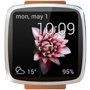 APK Animated watch faces