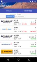 Israel Online Flight Table Screenshot 2