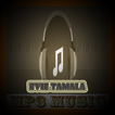 Lagu EVIE TAMALA mp3 Lengkap