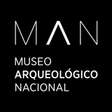 MAN Virtual icono