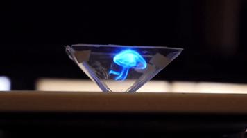 Vyomy 3D Hologram Hummingbird2 ảnh chụp màn hình 2