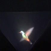 Vyomy 3D Hologram Hummingbird icon Vyomy 3D Hologram Hummingbird icon