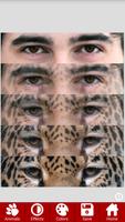 Animal Faces - Face Morphing اسکرین شاٹ 3