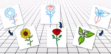 How to Draw Flowers