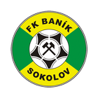 Banik Sokolov आइकन