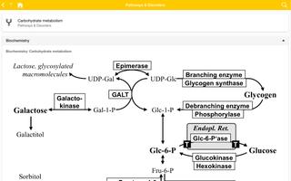 eVM - Vademecum Metabolicum تصوير الشاشة 3