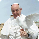 Frases del Papa Francisco ícone
