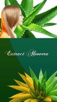 Extract Aleovera Plakat