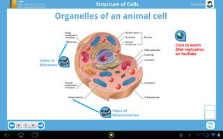 SmartEduStudent screenshot 2