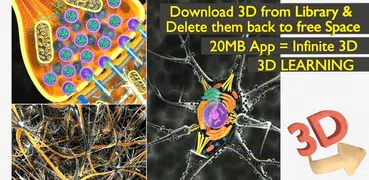 3D Biology +