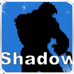 Shadow Fighters