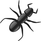 Ants Crusher icono