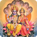Narayan Gayatri Mantra APK