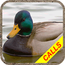 Duck hunting calls Pro:  Water APK