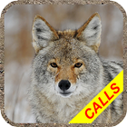 Coyote hunting calls Pro: coyo icon