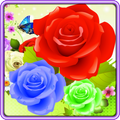 Bubble Rose