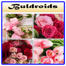 Valentines Flowers APK