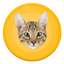 Human to cat translator - free APK