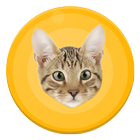 Human to cat translator - free icône