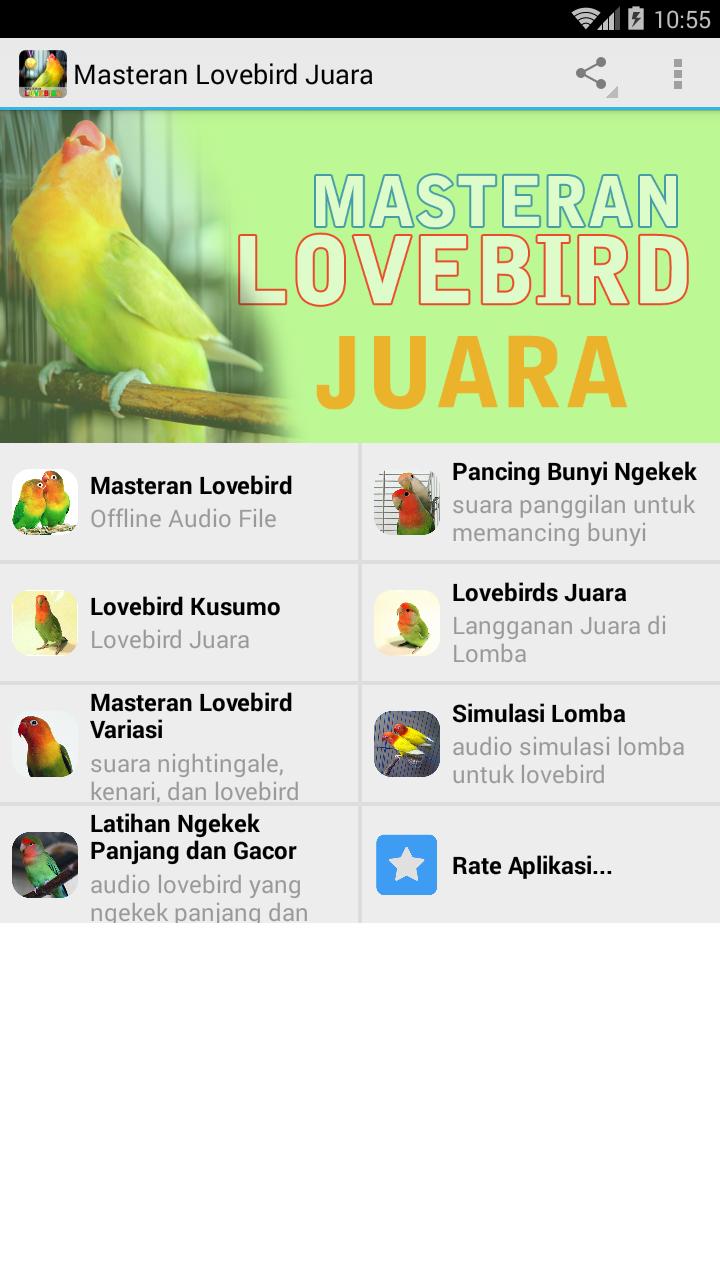 Lovebird Ngetik Pancingan Ngekek Panjang Offline Aplikasi Di Google Play