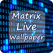 Matrix Digital Binary Code Liv
