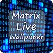 Matrix Digital Binary Code Liv