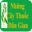 Cay thuoc dan gian