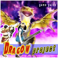 TIPS FOR DRAGON PROJECT