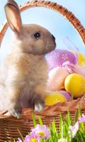 Easter Bunny Wallpapers Affiche