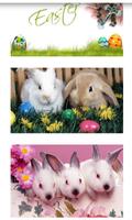 Easter Bunny Wallpapers captura de pantalla 2