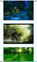 برنامه‌نما Enchanted Forest Wallpapers عکس از صفحه