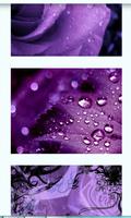 Purple Images Wallpapers Affiche