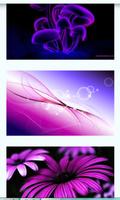 Purple Images Wallpapers capture d'écran 3