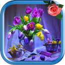 Still Life Images Wallpapers APK