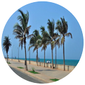 Tour to Pondicherry