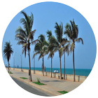 Tour to Pondicherry 아이콘