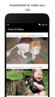 Funny Cat Videos Affiche