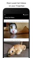 Funny Cat Videos capture d'écran 1
