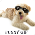 Funny Gif collection simgesi