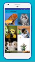 Funny Gif collection Affiche