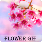 Flower GIF 2019 icône