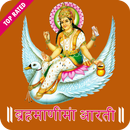 Brahmani Maa Aarti - HD Audio & Lyrics APK