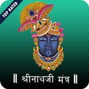 Shrinathji Aarti, Mantra & Bhajan - HD Audio APK