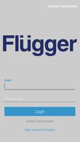 Flügger Colour Pin II poster