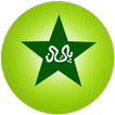 Pakistan Cricket Scores