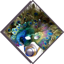 各种形式的口罩 APK