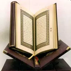 Quran Various Reciters MP3 XAPK download