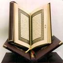 قراء القرآن الكريم مختلفة APK