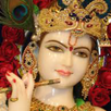 Lord Sri Krishna's Quotes APK