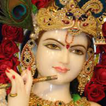 Lord Sri Krishna's Quotes